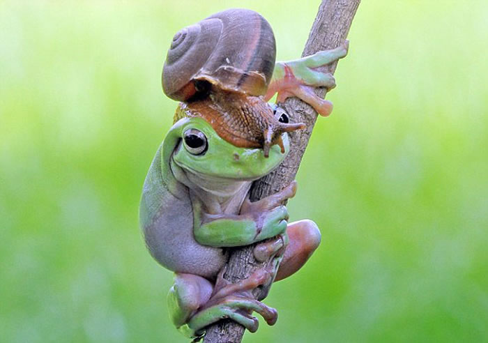 ӡ���������������ԼҺ�԰�ĵ��Ĵ��������ܺ���ţ��г�����Ļ���