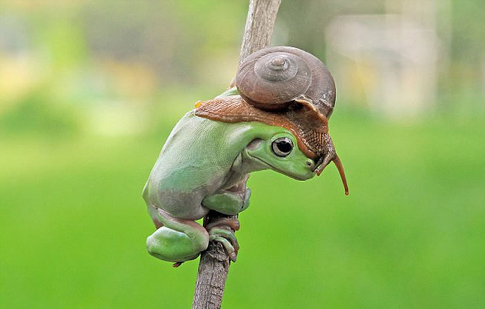 ӡ���������������ԼҺ�԰�ĵ��Ĵ��������ܺ���ţ��г�����Ļ���