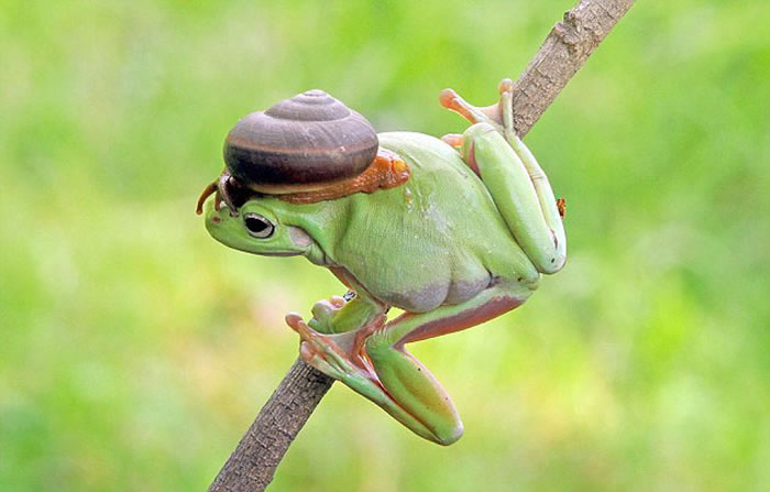 ӡ���������������ԼҺ�԰�ĵ��Ĵ��������ܺ���ţ��г�����Ļ���