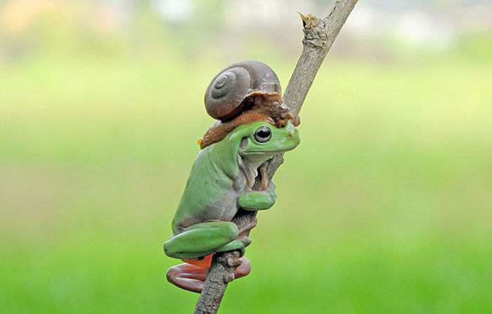 ӡ���������������ԼҺ�԰�ĵ��Ĵ��������ܺ���ţ��г�����Ļ���