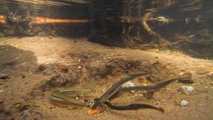 �ۼ���Ϫ���ײ�������������