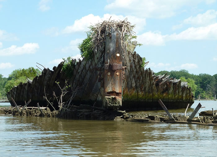 美国马里兰州波托马克河锦葵湾停放着200多艘废弃沉船残骸的“幽灵舰队”