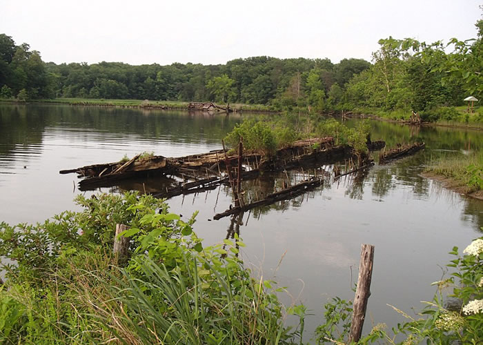 美国马里兰州波托马克河锦葵湾停放着200多艘废弃沉船残骸的“幽灵舰队”