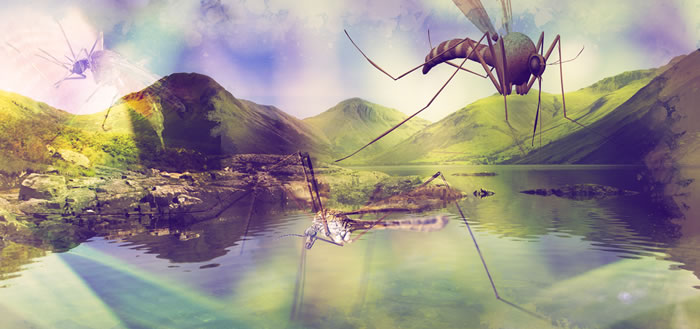 ��֢״�����ǿ���ͨ�����Ӵ����Ǹ���