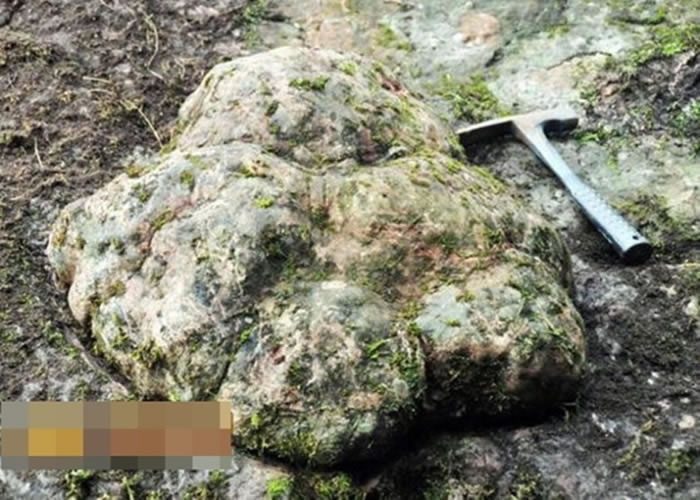 四川泸州市古蔺县桂花乡惊现长60厘米巨型恐龙足迹化石