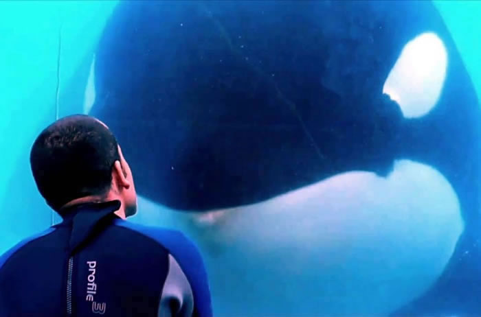 �����㡷�е�һĻ�����ڸ�������ɱ�˾������ǻۡ�