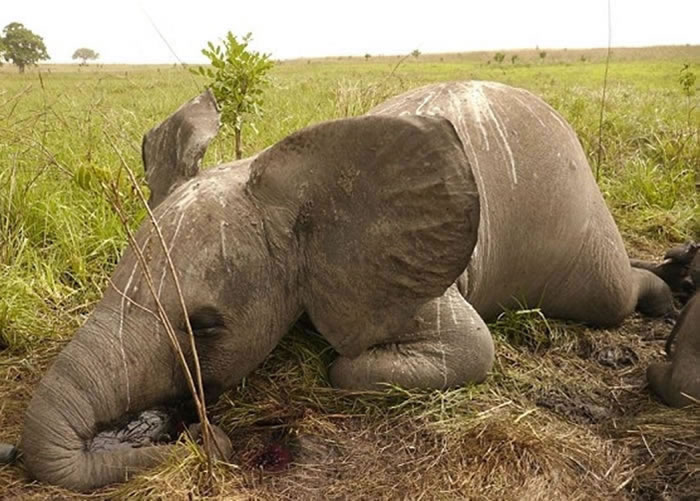 �չ��������͹��Ĵ���Σ�ڵ�Ϧ