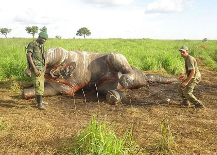 ���طǷ����Դ��������ǳ�����