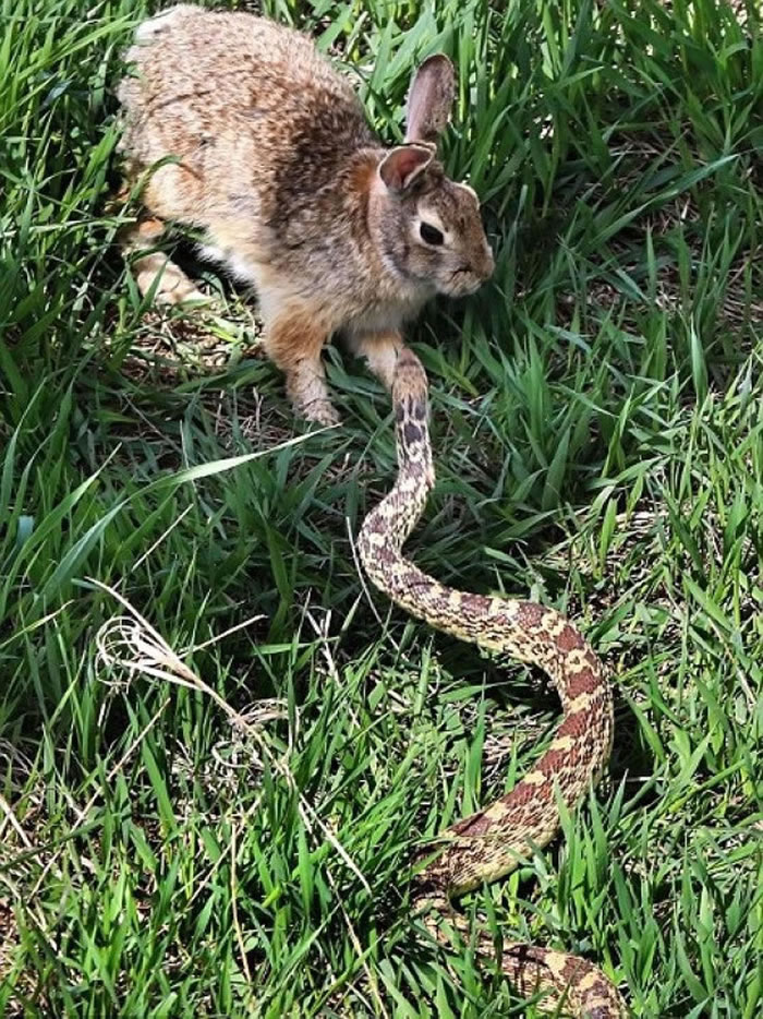 ӰʦƣõʱΪ׶ţ߶Կ