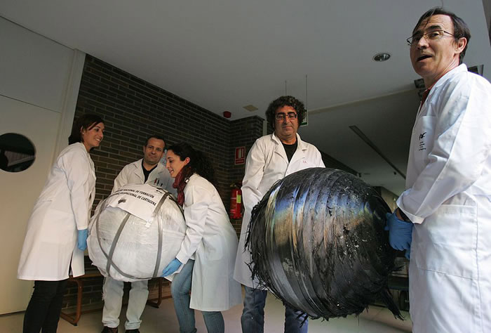 有分析称这些神秘球体是老式太空火箭碎片