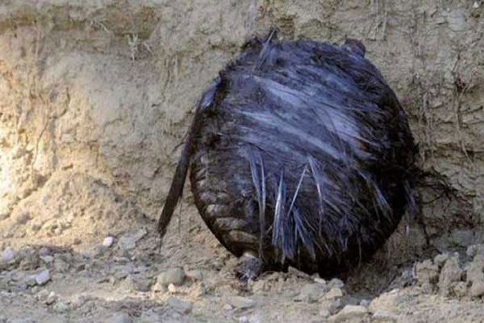 专家称,这些“太空垃圾”的威胁日益严重,它们必须被认真对待。