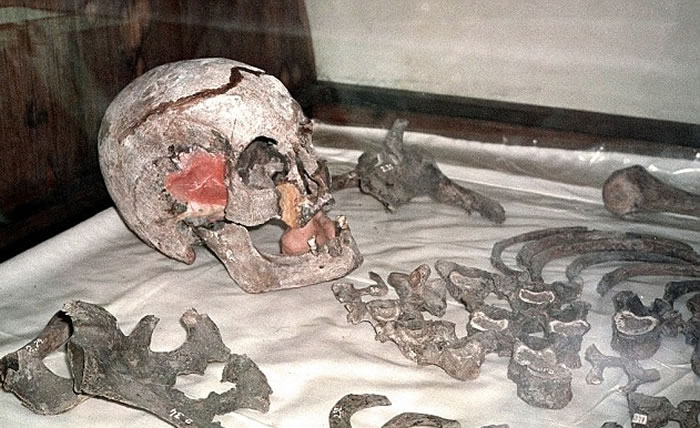 末代沙皇尼古拉二世的遗骸