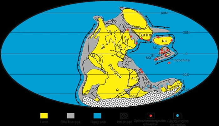 Asselian期Sphaeroschwagerina在特提斯地区的分布