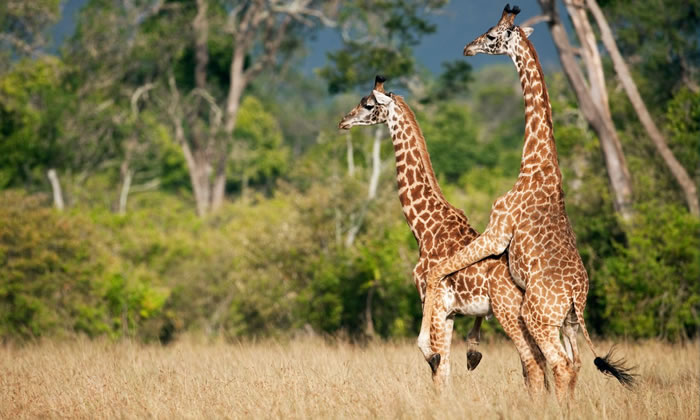 ��ѧ�������о���������¹��ν��н���