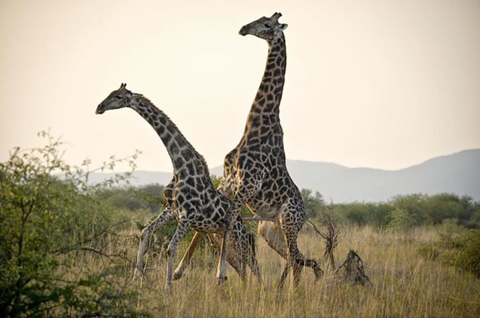 ��ѧ�������о���������¹��ν��н���