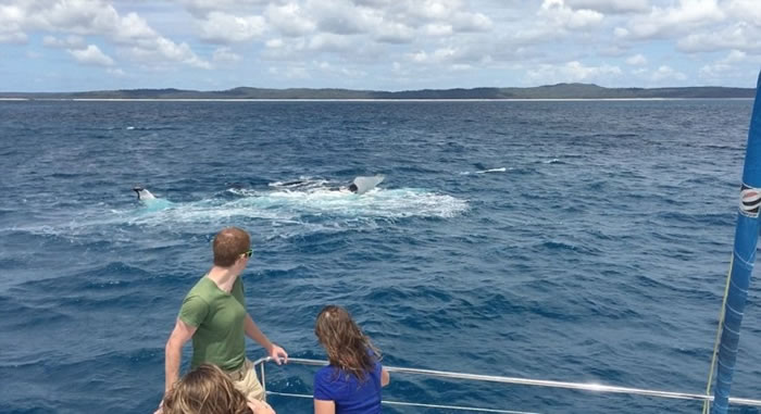 ���ټ��������ˣ���ʱ���˰������������