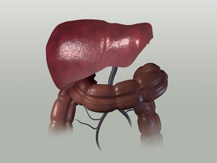 丙型肝炎是一种由丙型肝炎病毒引起的肝脏疾病。一项新的研究揭示了丙型肝炎病毒是如何逃避免疫系统而长期感染宿主的。