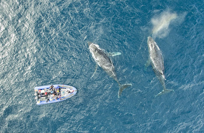 �Ϸ���Ӱʦ�ڿ��նؽ��������˻����㵽��ʮͷ��ͷ���ۻᲶʳ��Ϻ��׳�ۻ���