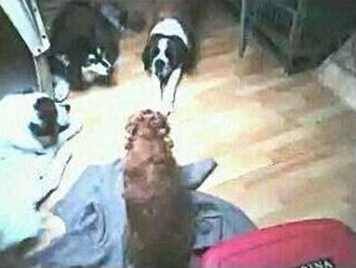 װӰС͵ ȴĵ4ֻ˾ۼıᡱ