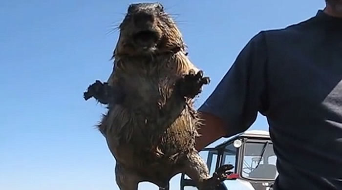 ⵽ҰԴʱֻȻʮֲˣŮԵļ