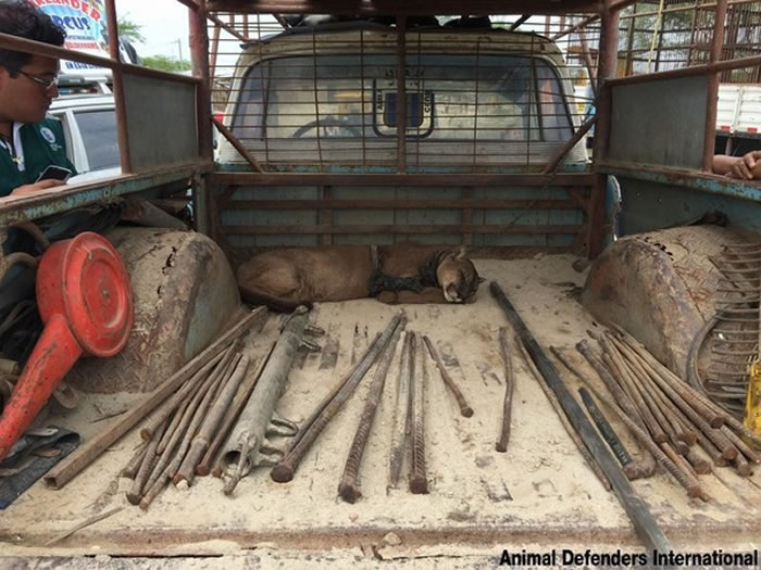 �����ľ��ɳƽ������ĵط������Ҳ�����