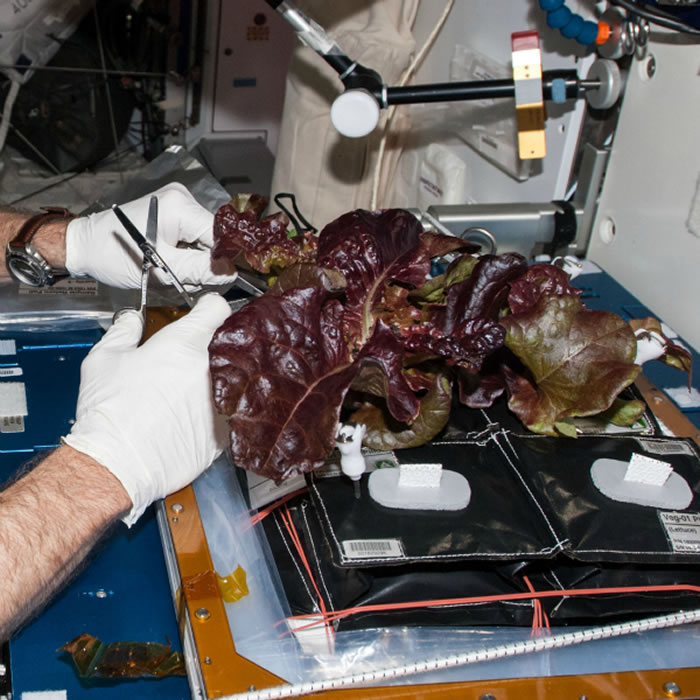 �Ա��ʼ�ڹ��ʿռ�վ�ֻ�