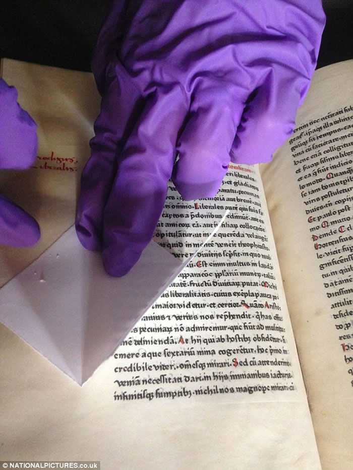 �ӹ���Ƥֽ(uterine vellum)�����ּ���