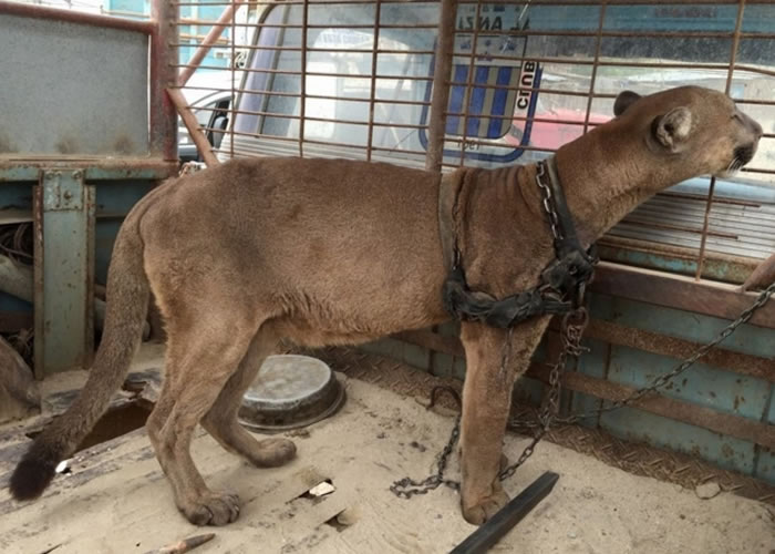 �·�ɳ����������