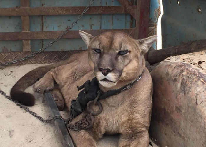 ��è������¶������