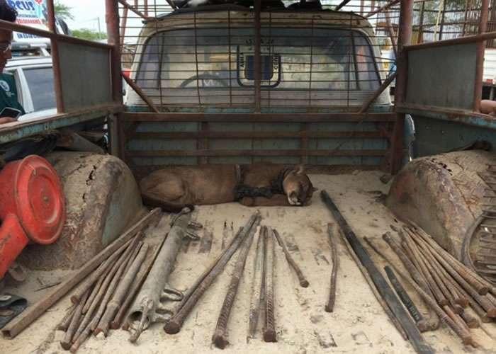 �·�ɳ����Ϸ��ʹ�õĵ��ߡ�����һ����ڰ���Ŀ��������ڡ�