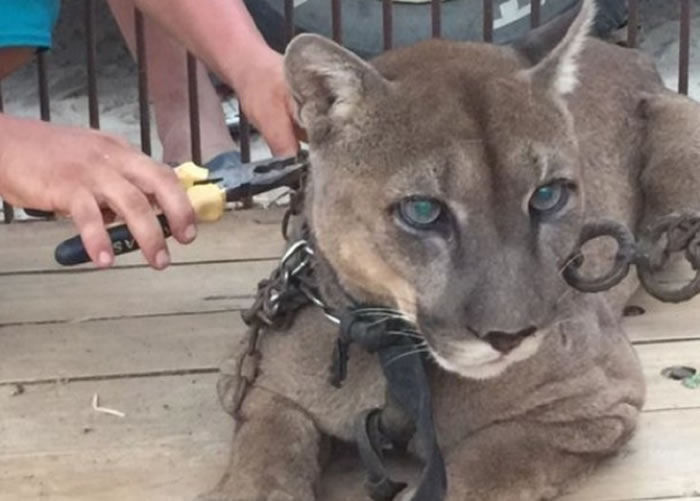 ��Ԯ��Ա���Ѻ�һ��ʱ��Ű����⿪��