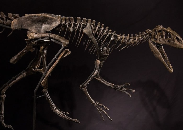 �����С���������1��5ǧ������ʷ��