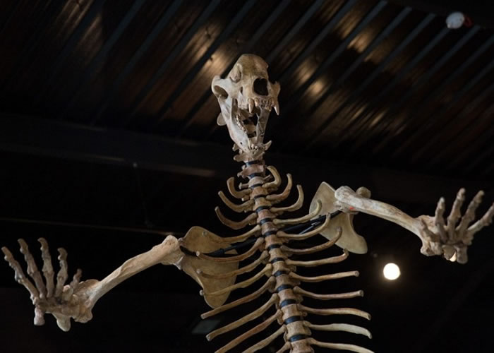 �����Ļ��������������ǳ�������������ʱ�ڵı����ܺ��ǡ�