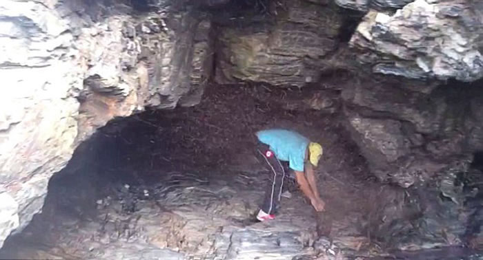 澳大利亚男子被虫子困在洞穴 千万只虫子形成 “虫墙”将出口堵住