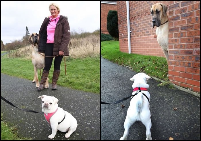 ��ʹ���ϱ��Լ�����С����ĳ���Ȯ������˹��Ҳ�Ե�ʮ�ֺ��¡�