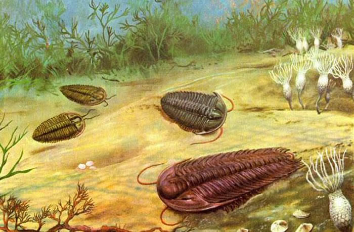 ѧҷ3.152ǰĤӦ󣬷2.52ǰִ¼ܹʹֶչ