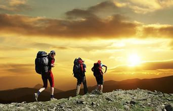 ����Ϊ�ΰ����У�̽����Ǩ��������