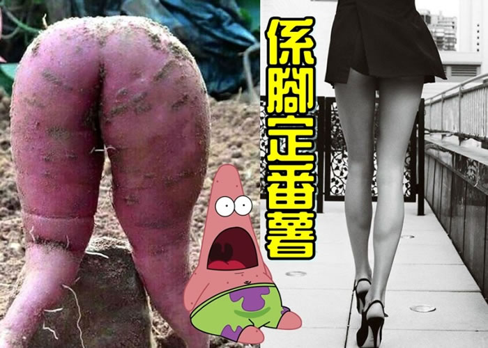 ����һ����ͼ�ķ����������Ը�Ů�������������������˶�����