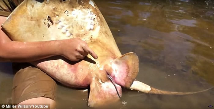 ����12����ͯ�ں�����Ϊħ�������