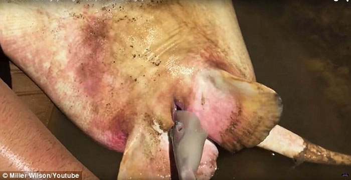 ����12����ͯ�ں�����Ϊħ�������