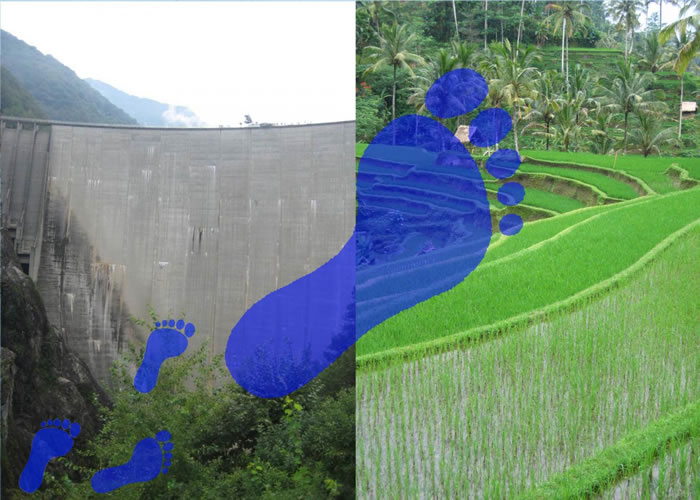 ֲȹȥΪĶˮ̬㼣ĸı