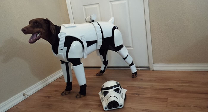 űȮݡƵġսеĵ۹ʿսʿ