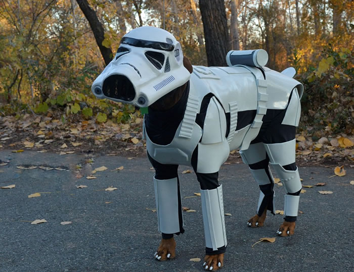 űȮݡƵġսеĵ۹ʿսʿ