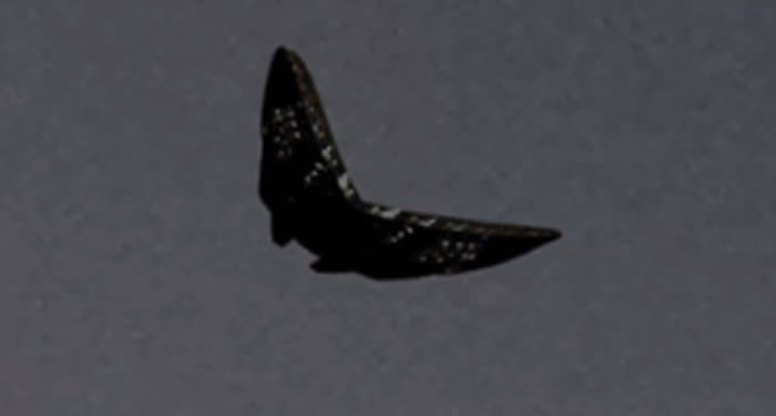 ��������������վ��ֺ�����UFO