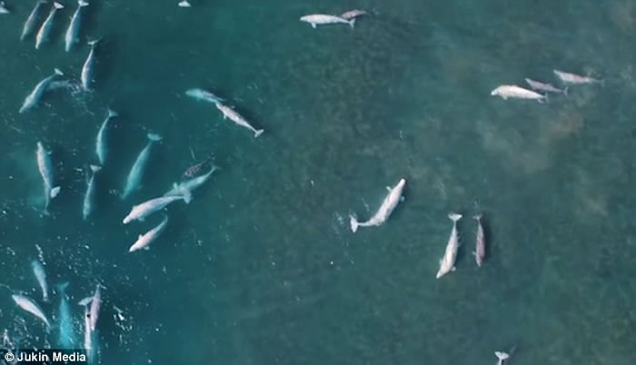 ӰʦڼôĬص㵽2000ͷ׾Ϸ