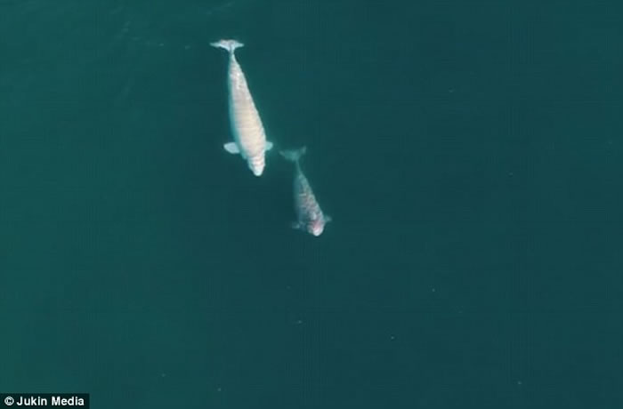 ӰʦڼôĬص㵽2000ͷ׾Ϸ