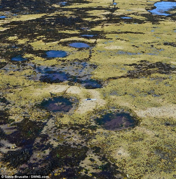 ��Щ�㼣�����ո�����ʷ�������ֵ�������ģ​​������ַ