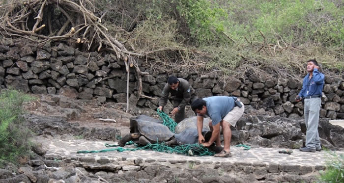 ʿڼ˹Ⱥֻͬ¶Ρڹ½