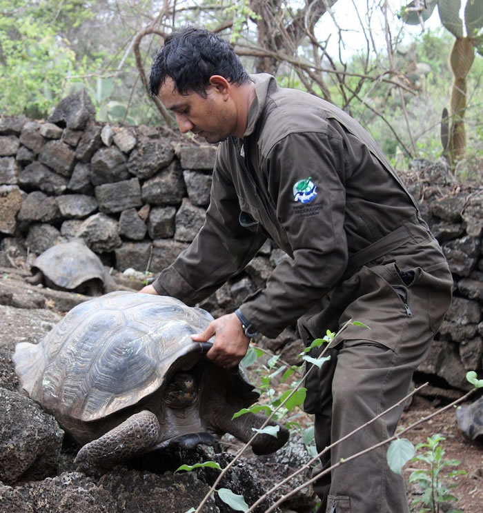 ʿڼ˹Ⱥֻͬ¶Ρڹ½