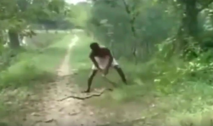 ӡ�����ӷ��ˤ��ͽ��ɱ���۾����ߣ�ֻ��������ڶ���֮��